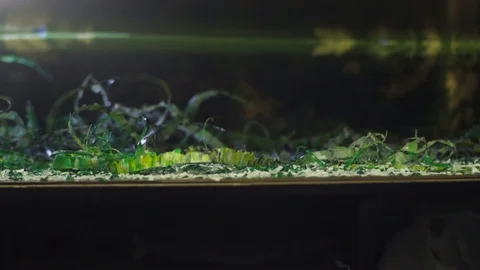 Plastic recycling process Video stock 111965305