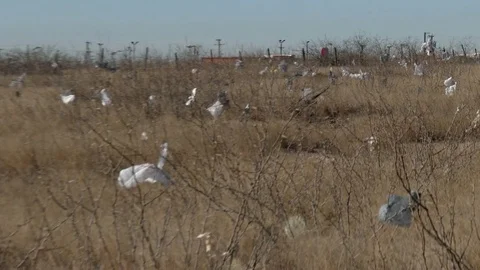 Plastic refuse in an empty field to see multiple pieces of litter, 4K. Stock Footage 85142905