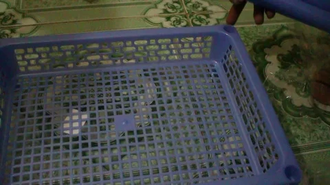 Plastic resin assembly Stock Footage 78215269
