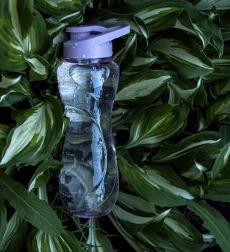A plastic, reusable bottle with fresh drinking water on the background of gre Foto stock