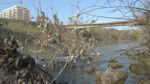 Plastic river pollution 動画素材 236893286