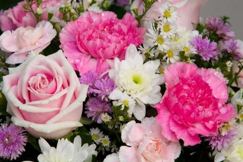 Plastic rose Stock Photos