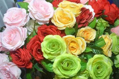 Plastic rose Photos
