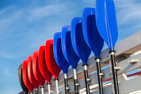 Plastic rowing oars Stock Photos