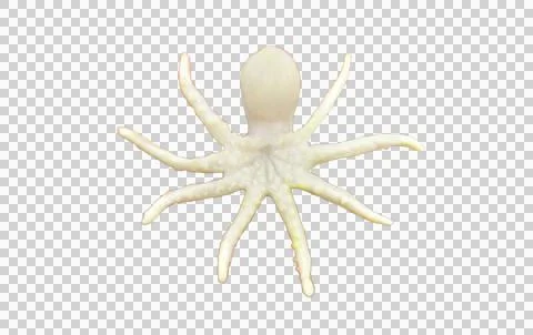 Plastic (rubber) white octopus toy for bath, mockup bottom view isolated png Foto stock