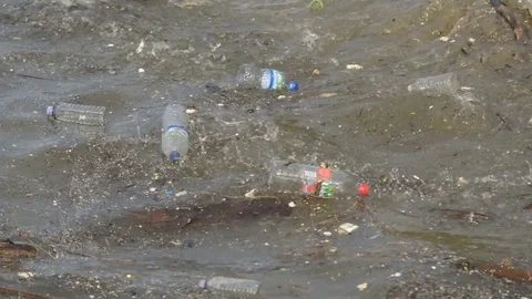 Plastic rubbish and debris floating about on the surface of the River Thames. Stock Footage 71170615