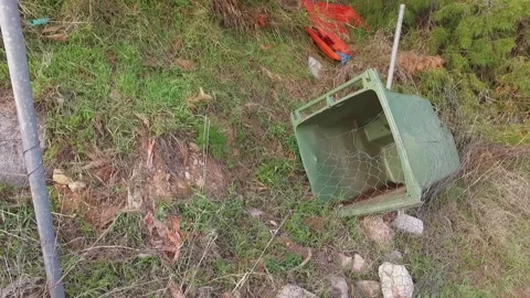 Plastic rubbish in the forest Stock Footage 154216443