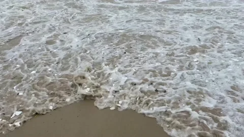 Plastic rubbish in the surf Stock Footage 169390309