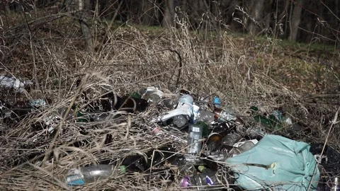 Plastic sachets and plastic bottles, rubbish in the forest Stock Footage 126358957