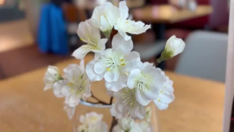 Plastic sakura flower decorates the tables in a cafe Stock Footage 304609010