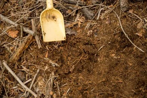 Plastic shovel digging in an anthill Stock Photos