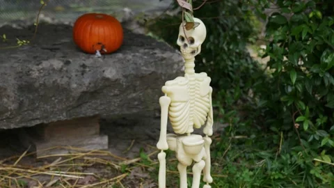 Plastic Skeleton Decoration Standing Next to a Rock and Pumpkin Stock Footage 319470467