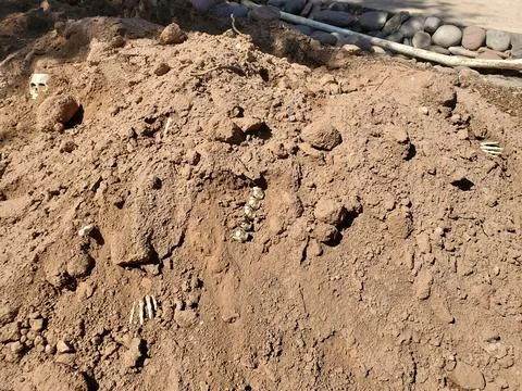 Plastic Skeleton Skull and Bones Hidden in Dirt at Construction Site Halloween Stock Photos