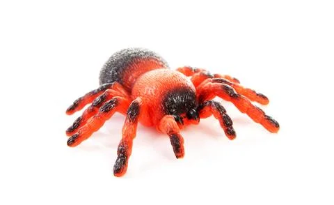 Plastic spider toy Stock Photos