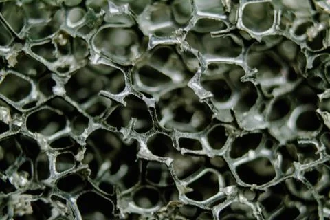 Plastic sponge close-up Stock Photos