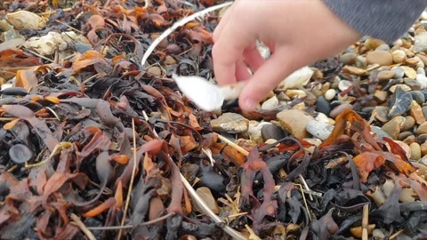 Plastic spoon is picked up from a beach Stock Footage 119212181