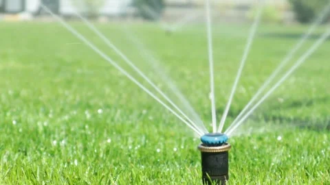 Plastic sprinkler irrigating flower bed on grass lawn with water in summer Vídeos de archivo 334656492