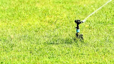 Plastic sprinkler irrigating flower bed on grass lawn with water in summer Vídeos de archivo 334656872