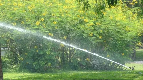 Plastic sprinkler irrigating flower bed on grass lawn with water in summer Video stock 334656910