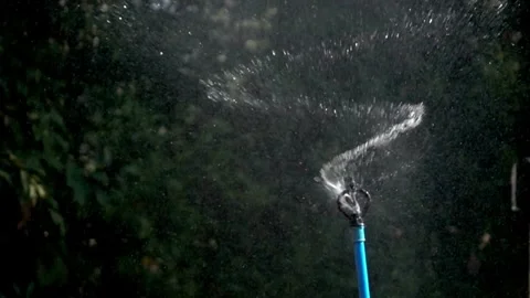 Plastic sprinkler irrigating flower bed on grass lawn with water in summer Stock-Footage 334657696