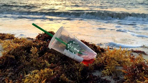 Plastic Starbucks Cup on the Beach Stock Footage 93199908