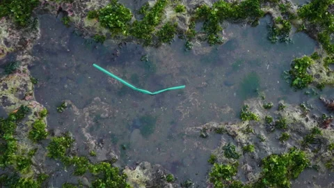 Plastic Straw Floats in Ocean Puddle, Bali Stock Footage 147284687