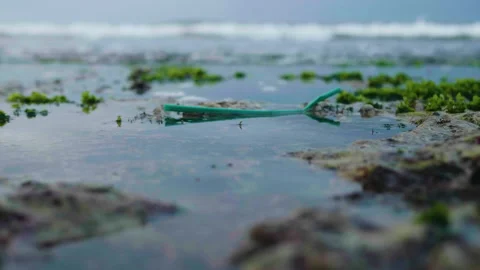 Plastic Straw in front of Ocean in Bali Stock Footage 147285263