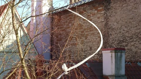 Plastic stuck in a tree in the city. Trash in Tallinn, Estonia 2021 Stock Footage 155637994