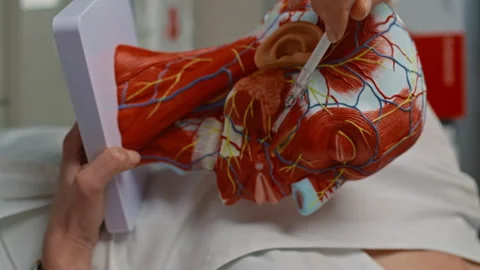 The plastic surgeon shows on the model where the operation will be performed 스톡 동영상 267063272