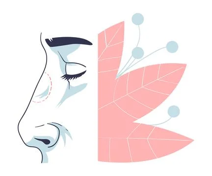 Plastic Surgery with Nose Body Part Correction in Aesthetic Beauty Clinic Vector Stock Illustration