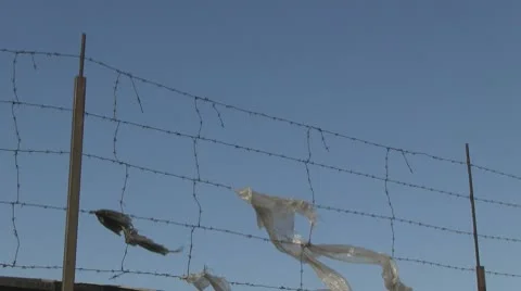 Plastic swinging on barbed wire Stockbeeldmateriaal 10586728