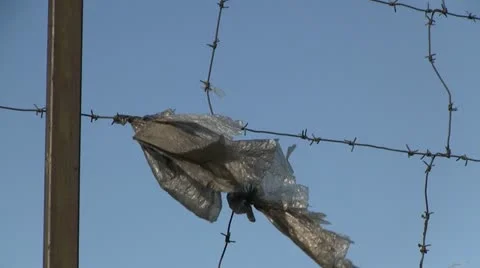 Plastic swinging on barbed wire 스톡 동영상 11845403