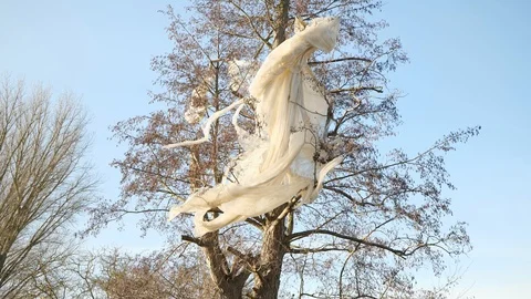 Plastic Tarp Stuck in Winter Tree Blowing in the Wind Stock Footage 122866675