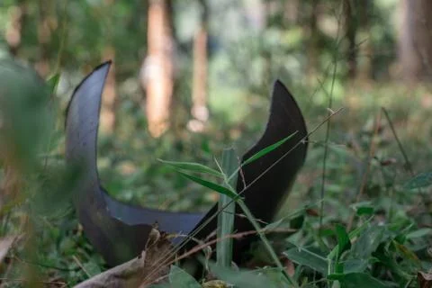 Plastic thrown away the field causing pollution in forest wildlife indian f1. Stock Photos