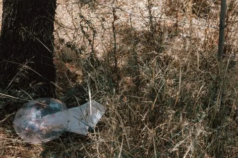 Plastic thrown to the ground in the middle of a virgin forest. Pollution of o Stock Photos