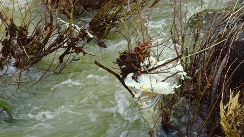Plastic, tire, polystyrene and micro plastics in river water Stock-Footage 145018569