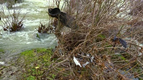 Plastic, tire, polystyrene and micro plastics in river water Stock Footage 145026645