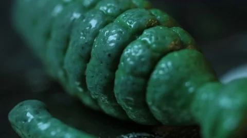 Plastic Toy Grenade Melting Stock Footage 74355284