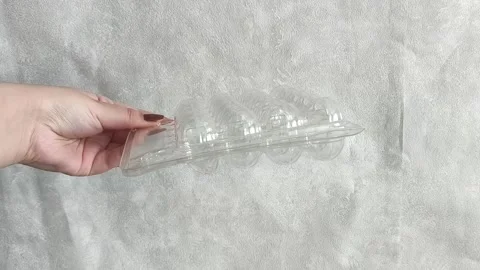 Plastic transparent tray for quail eggs in hand. Video stock 332409870