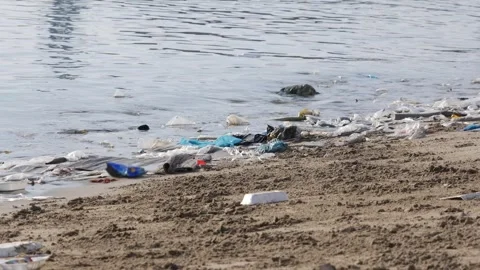Plastic trash and discarded packaging scattered along a sandy beach by the water Stock Footage 341311328