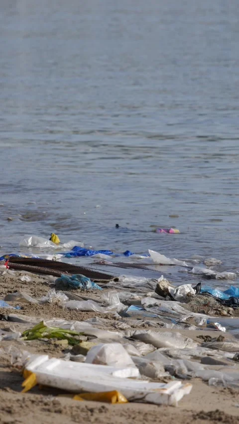 Plastic trash and other litter scattered on a sandy seashore beside calm water. Stock Footage 346442697