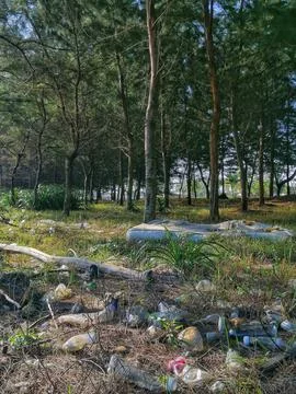 Plastic trash beach close up Stock Photos