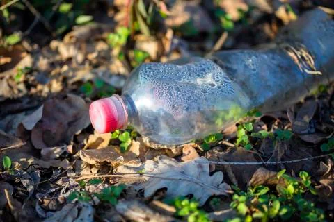 Plastic Trash Bottle Stock Photos