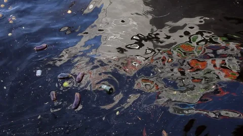 Plastic trash floating on Negro river in the Amazon rainforest, Brazil. Vidéo 128977227