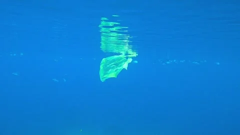 Plastic trash floating in the sea Stock-Footage 167561330