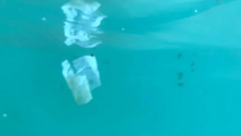 Plastic trash floats on the surface of the sea Stock Footage 115323072
