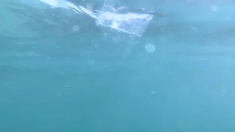 Plastic trash floats on the surface of the sea Stock Footage 116235204