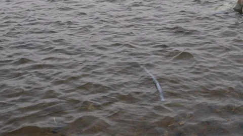 Plastic trash floats on the waves of the river Stock Footage 105127376