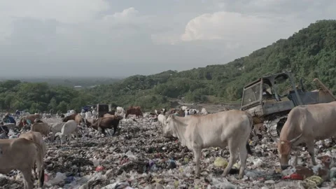 Plastic trash Stock Footage 201528854