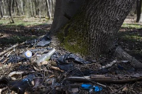 Plastic trash in the forest. problem of ecology concept Stock Photos